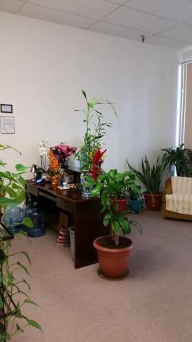 Natural Massage  Palmdale erotic massage